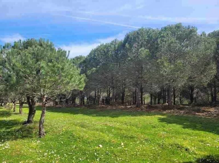 20260411_1143122 (1)